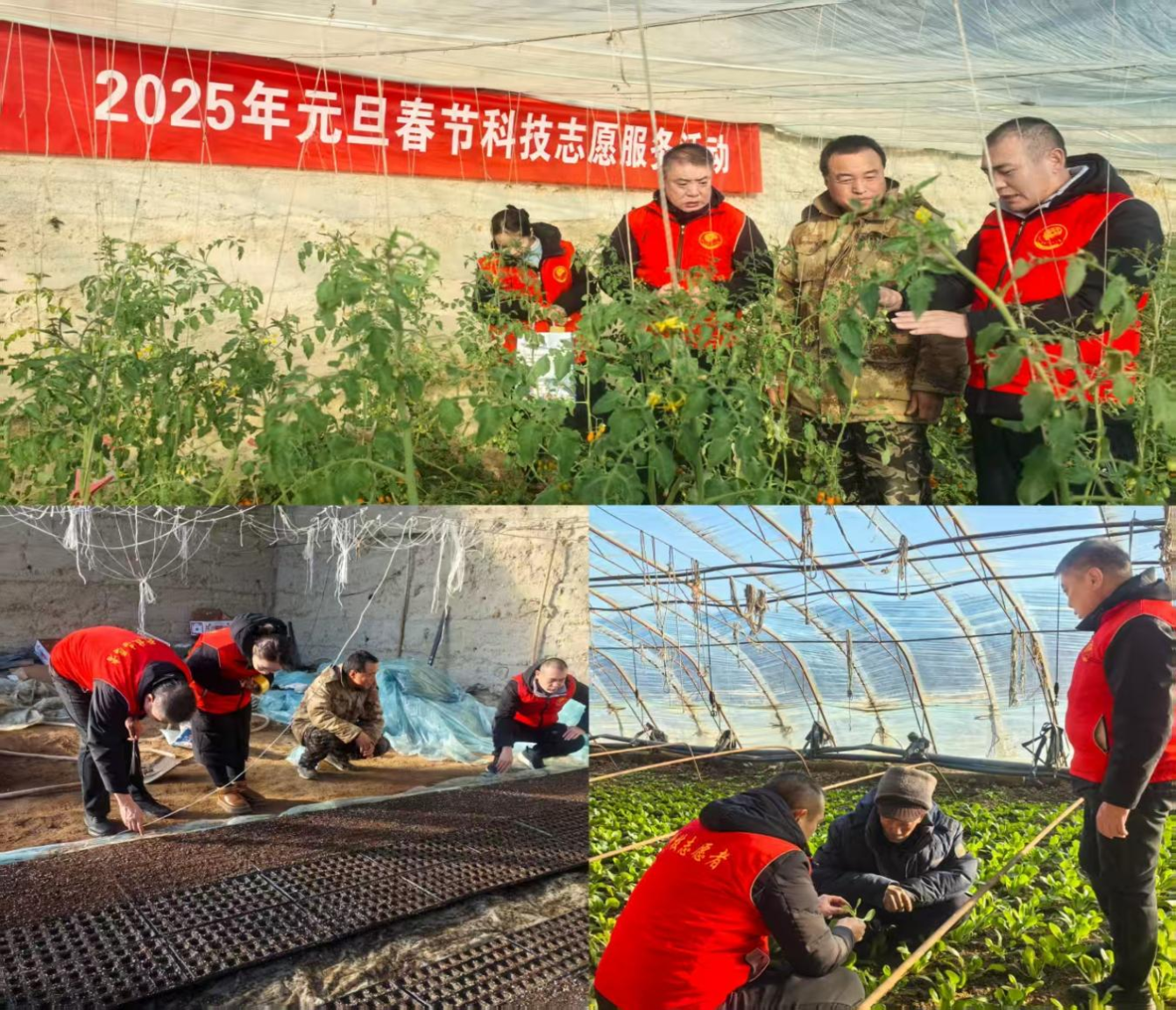 图片2