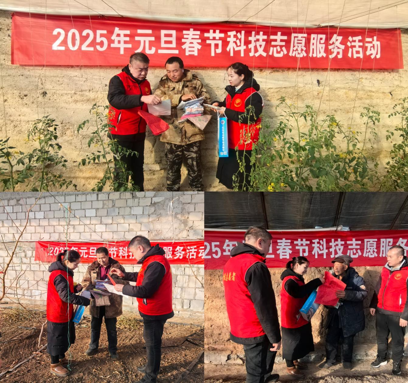 图片3