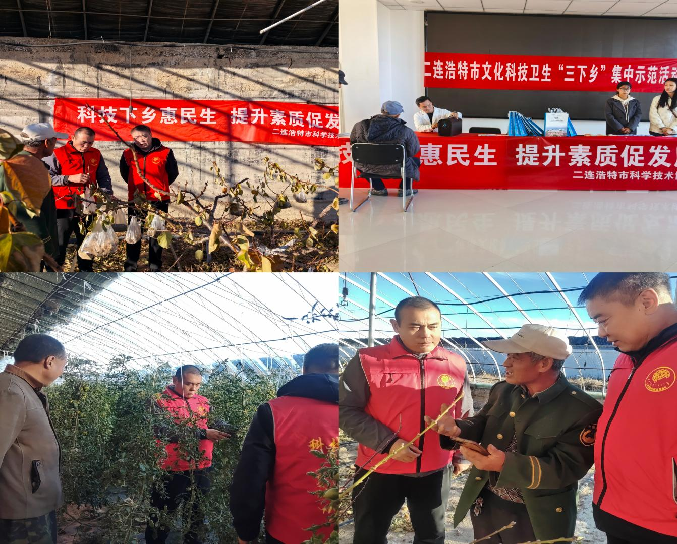 图片6