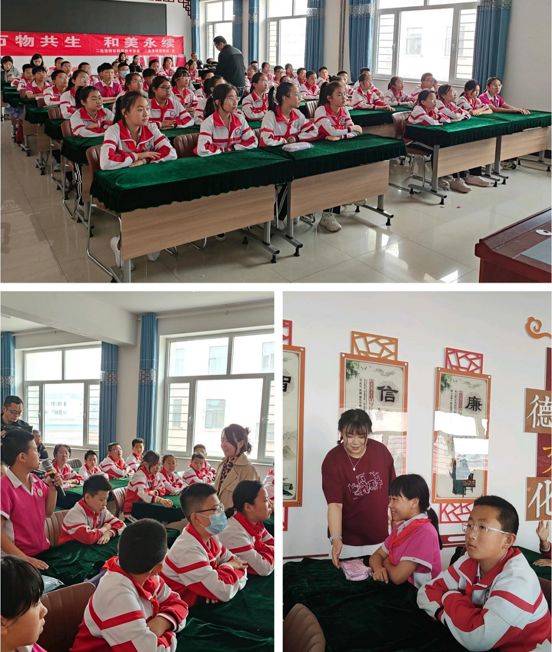 图片3
